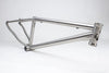 Titanium Nighttrain MTB Frame