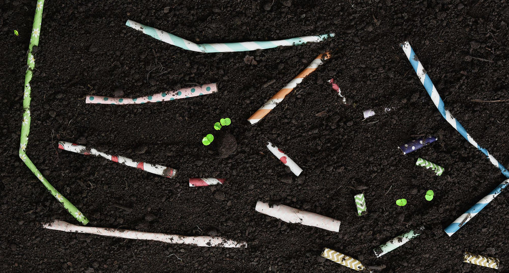Strawtopia Paper Straws Biodegrading and Composting in the Soil_compressed