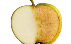 An Apple that has Started to Oxidize