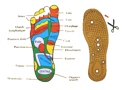 semelles magnétiques amincissantes - aimant magnetique pour maigrir - semelle amaigrissante - semelle magnétique feet avis