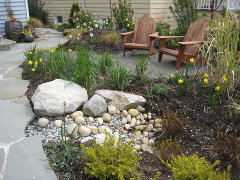 Rain Garden, Cobble rock