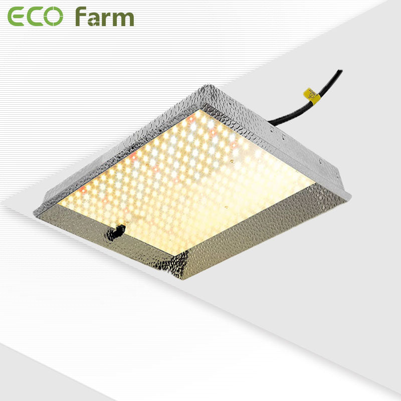 LED Grow Light Heat Output: Managing Temperature for Optimal Growth