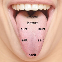 smagsløg, umami, salt, surt, sødt, bitter, umami, de fem smage