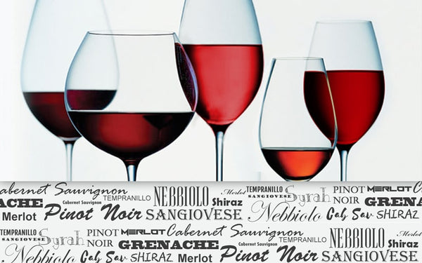 Different red wine types in glas