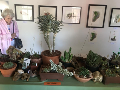 Plant Exhibition