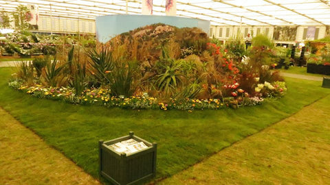 Chelsey Flower Show Display 2017