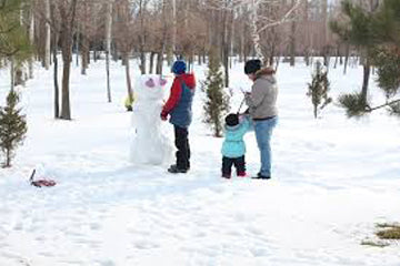 Make a snowman, go sledding, try ice skating, take a ride, there's LOTS to do outside in the winter time!