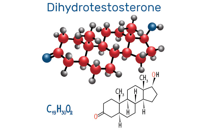 dihydrotestosterone dht