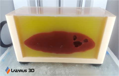 Model of a kidney; the box containing the model was made with FilaCube's 3D Printer PLA 2 Ivory White filament.