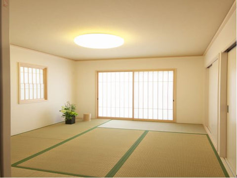 empty room with plant on the corner, japanese setting