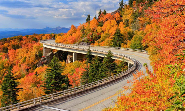 The colors of autumn light up the Blue Ridge Parkway on this dreamy fall road trip route.