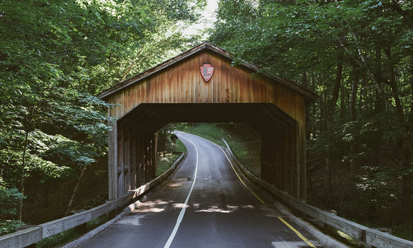  Michigan is a truly underrated road trip destination. The state has the coastal vibes of California with the hometown feel of the Midwest.