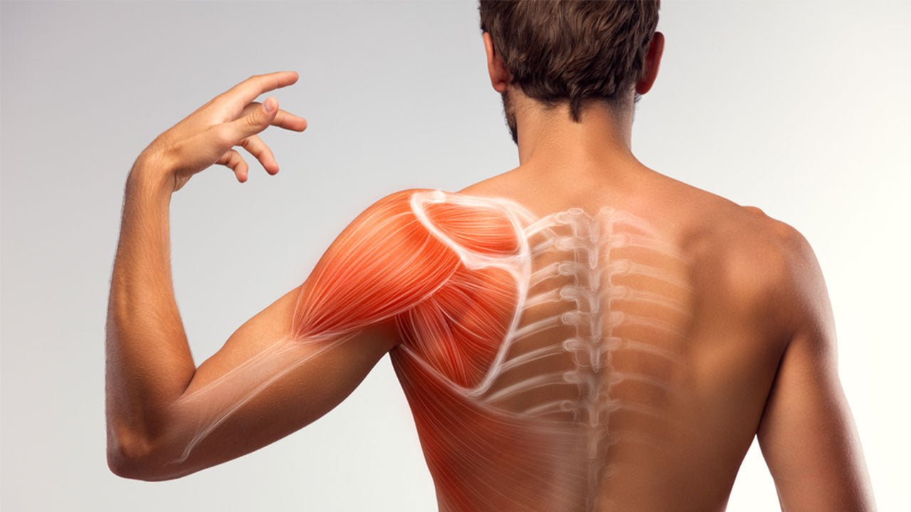 Shoulder Blade Pain: Potential Causes, Treatment, Prevention