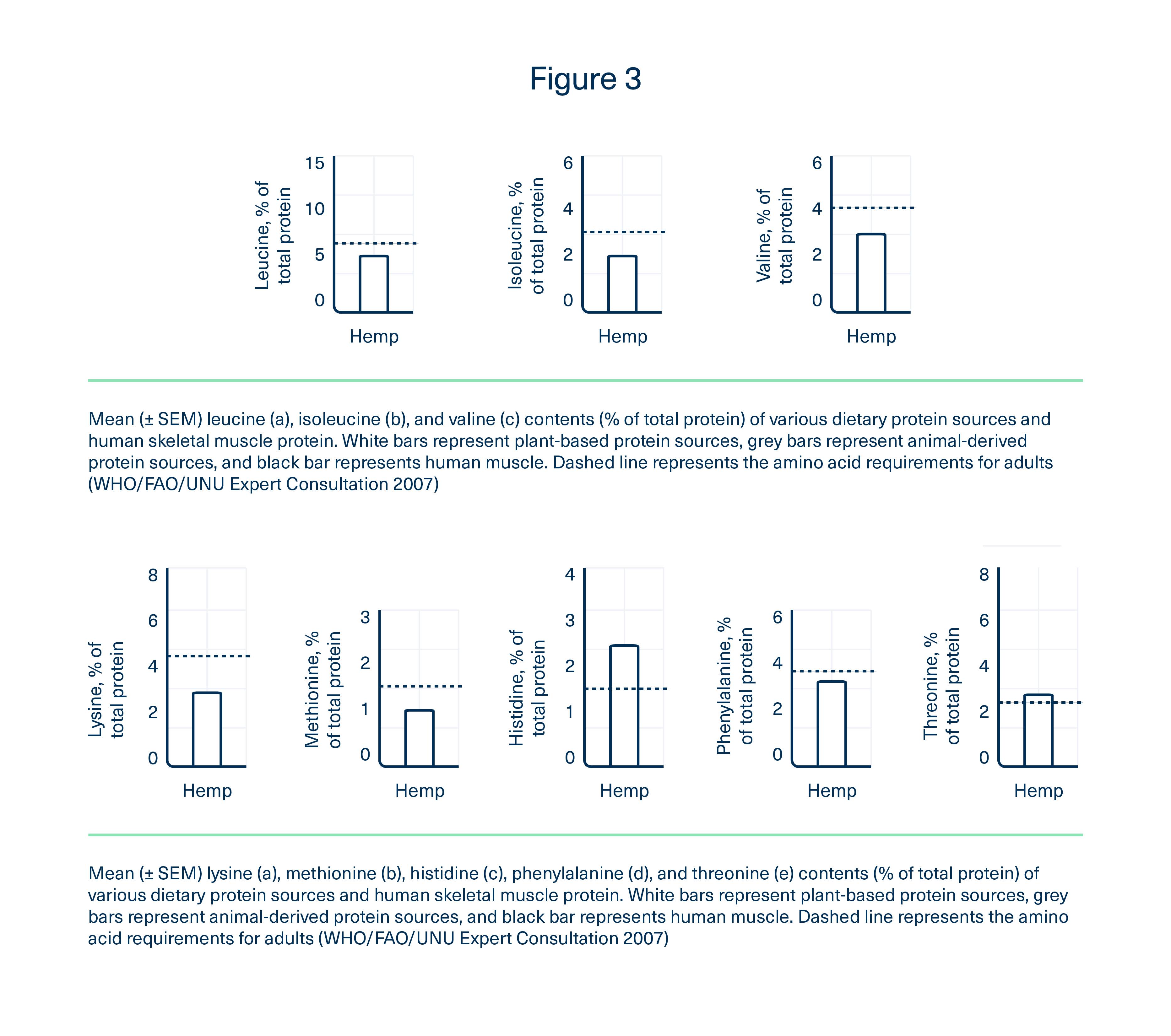 Essential amino acid profile of hemp protein