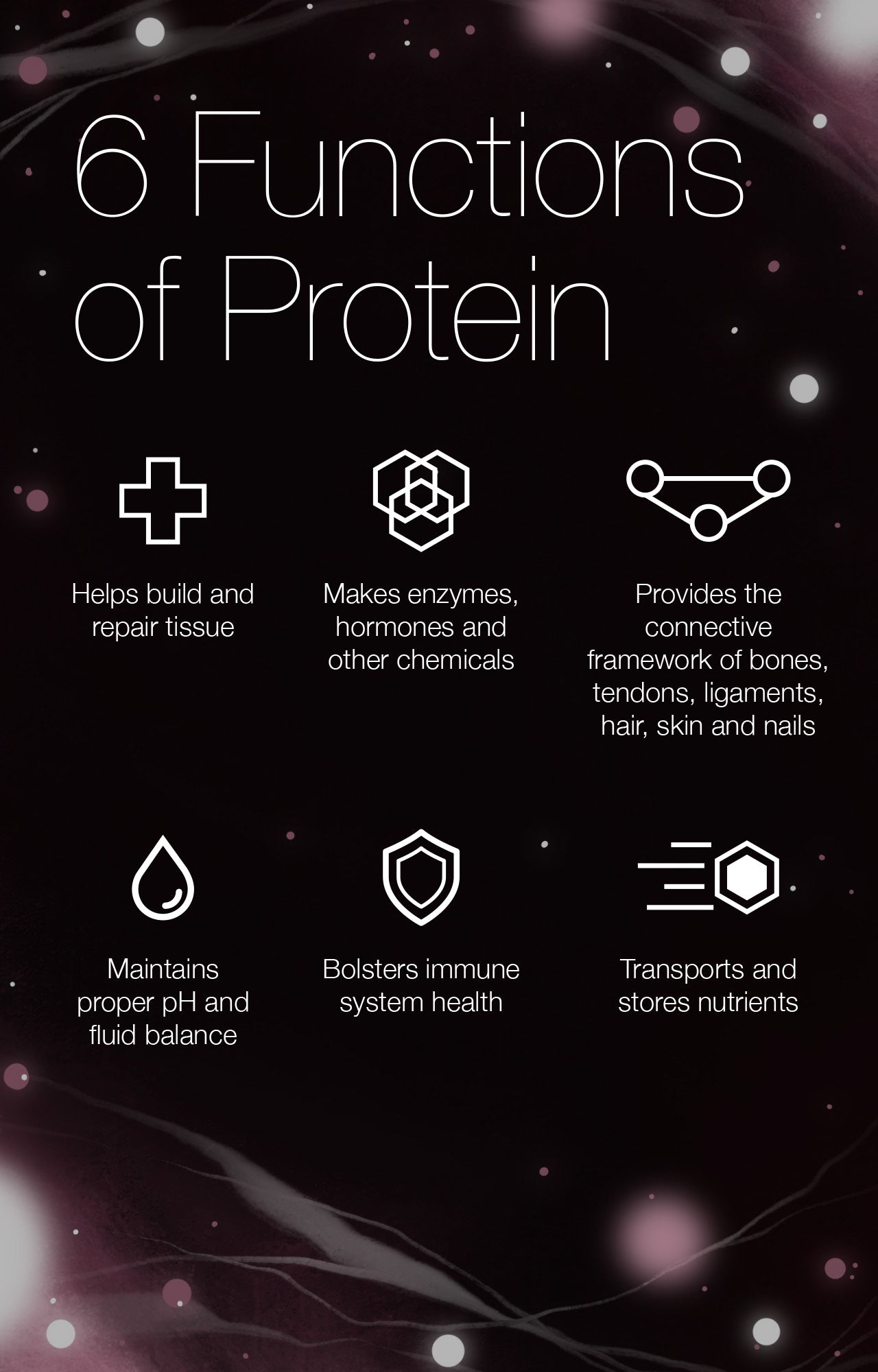 6 Functions of Protein