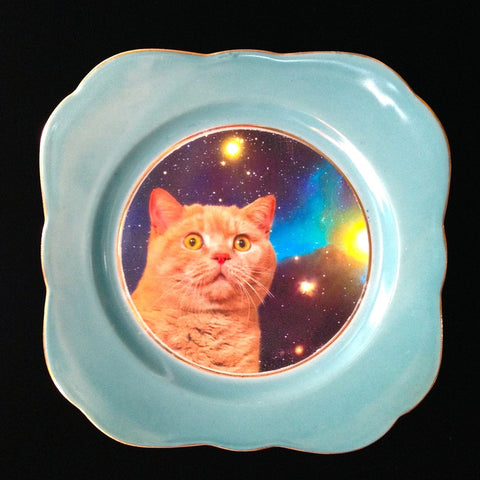Interview : Warning - Awesomeness by Leslie Andrews. Space cat plate