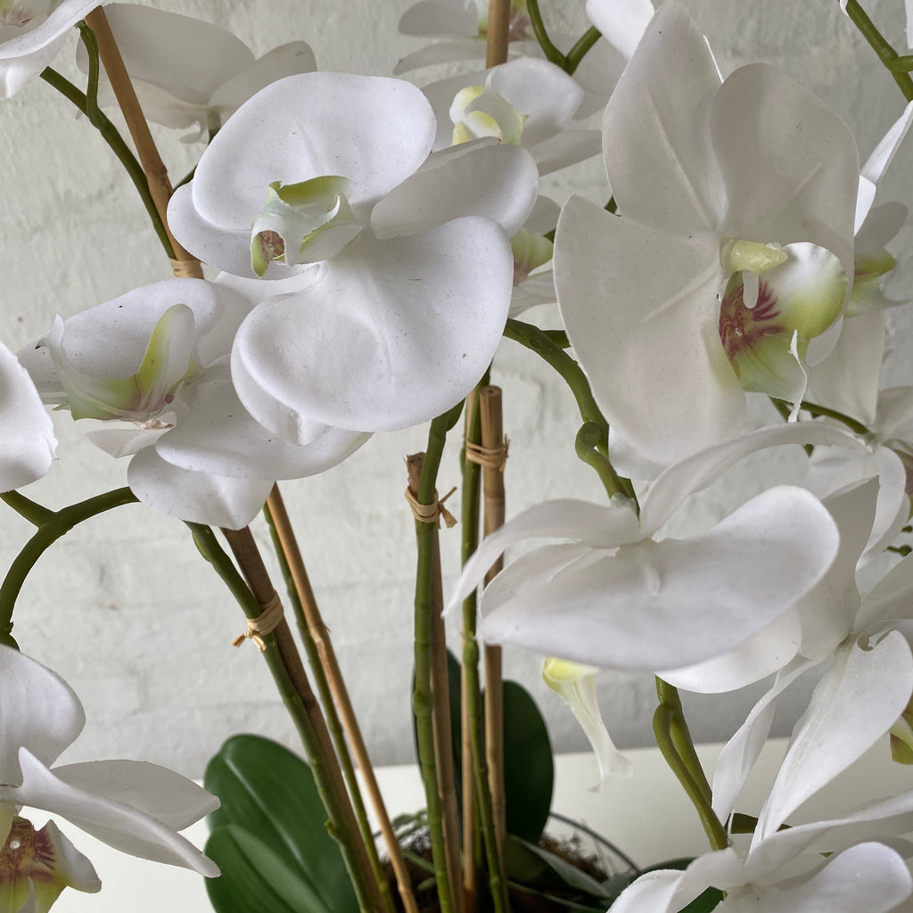 Artificial Large White Orchids in Glass Handcrafted Flowers