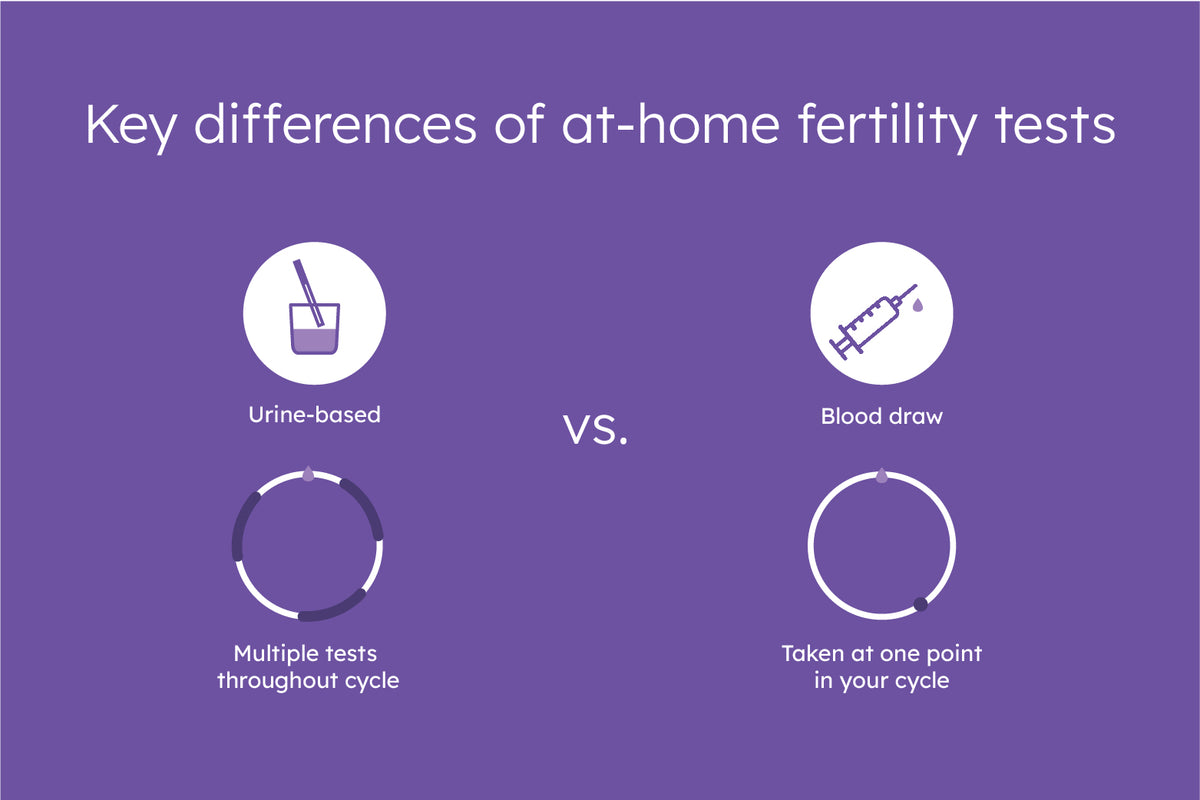 Proov Vs Everlywell Fertility Tests Similarities Differences And How To Choose The Best Test For 0748