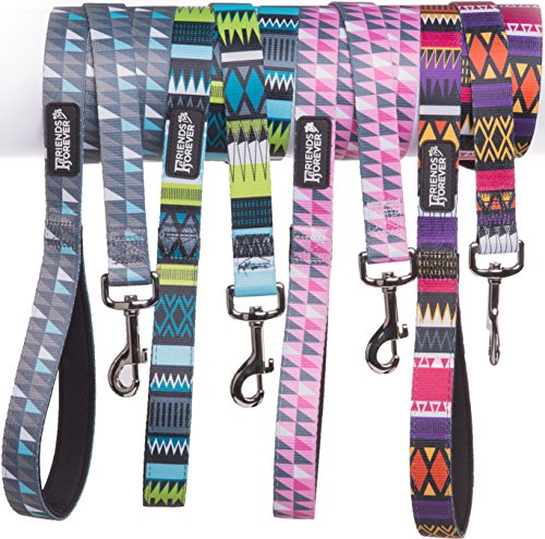 nylon dog collars and leashes