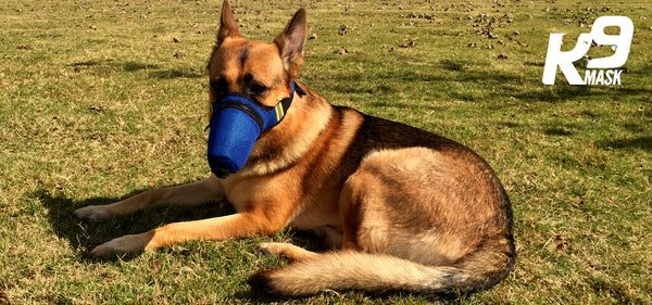 K9 Dog Pollution Masks fit dog muzzles