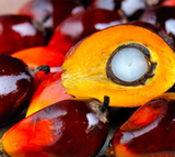 palm oil