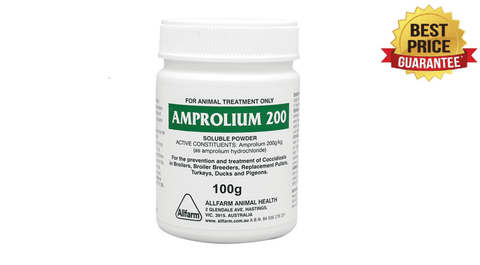 Amprolium-for-Poultry-Coccidiosis_Treatment_and_Prevention