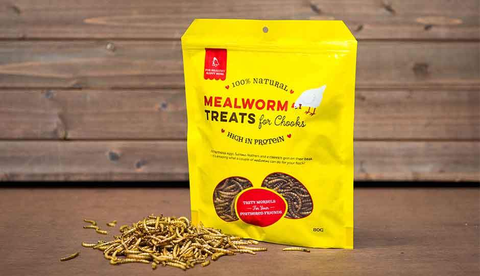 healthy mealworm treats for chickens