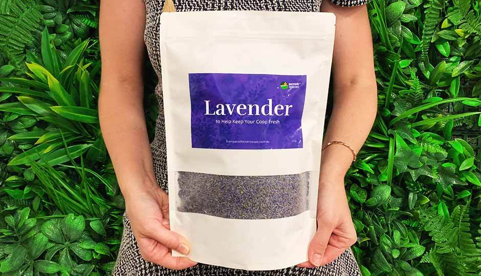 pack of dried lavender to keep chicken coop fresh