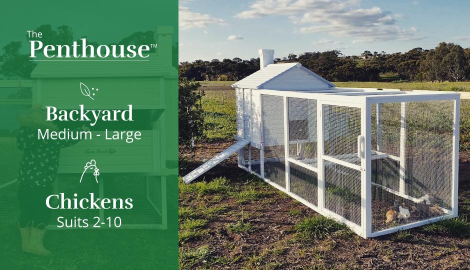 penthouse chicken coop fits 2 to 10 hens
