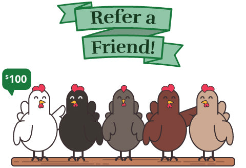 Refer a friend banner illustration