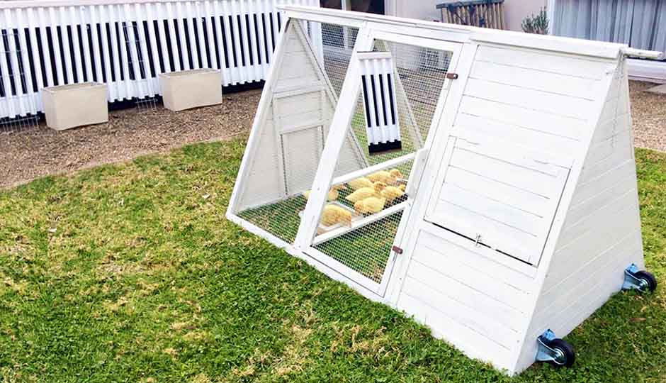 small chicken coop cluck house for baby chickens or bantam