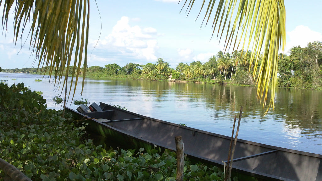 Small rowboat on the shore of the Orinoco Delta