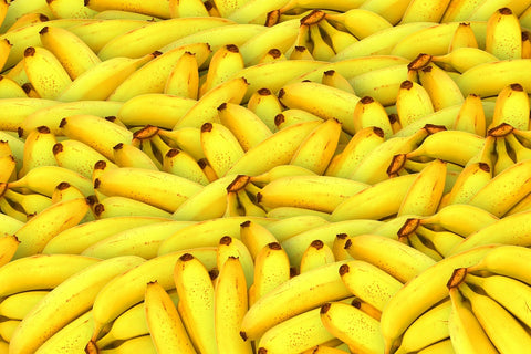 Bunch of bananas in natural light