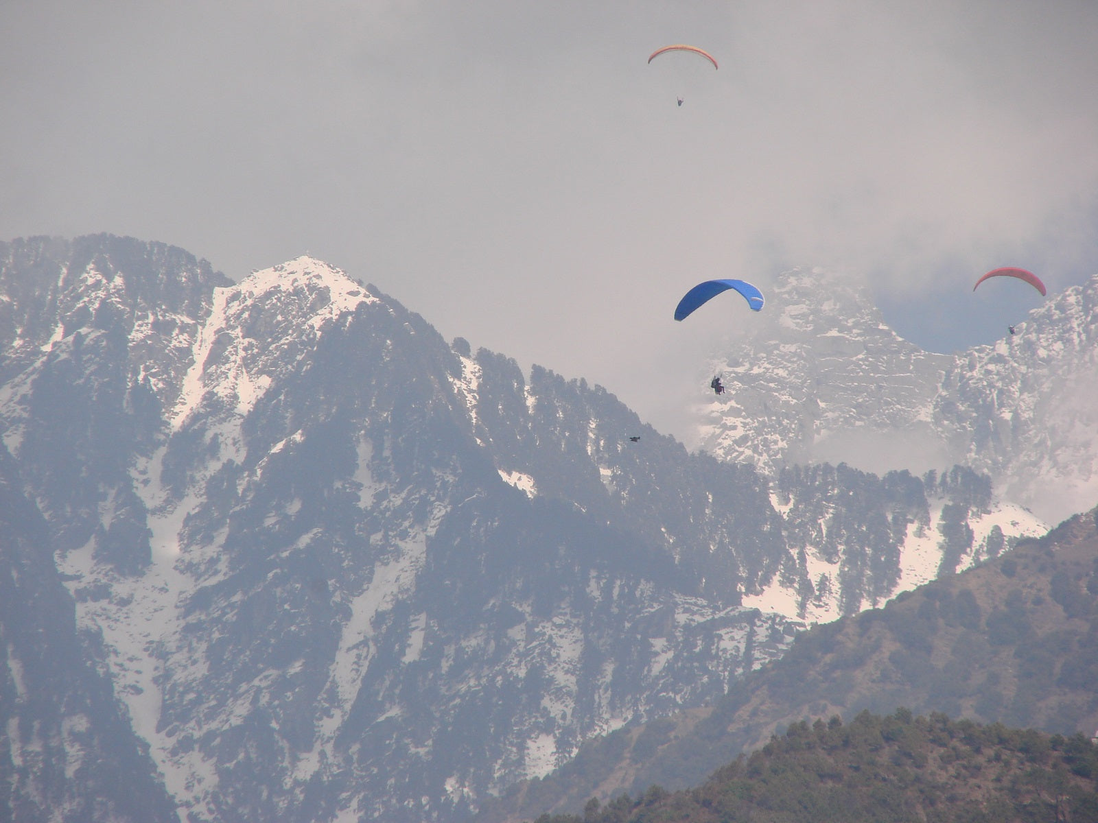 Paragliding in the Indian Himalayas