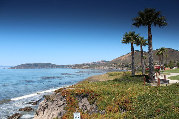 Panoramic view of the coast at Pismo Beach