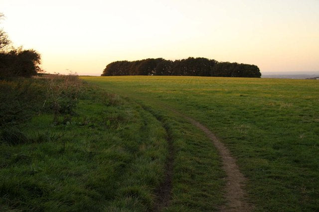 The Ridgeway path