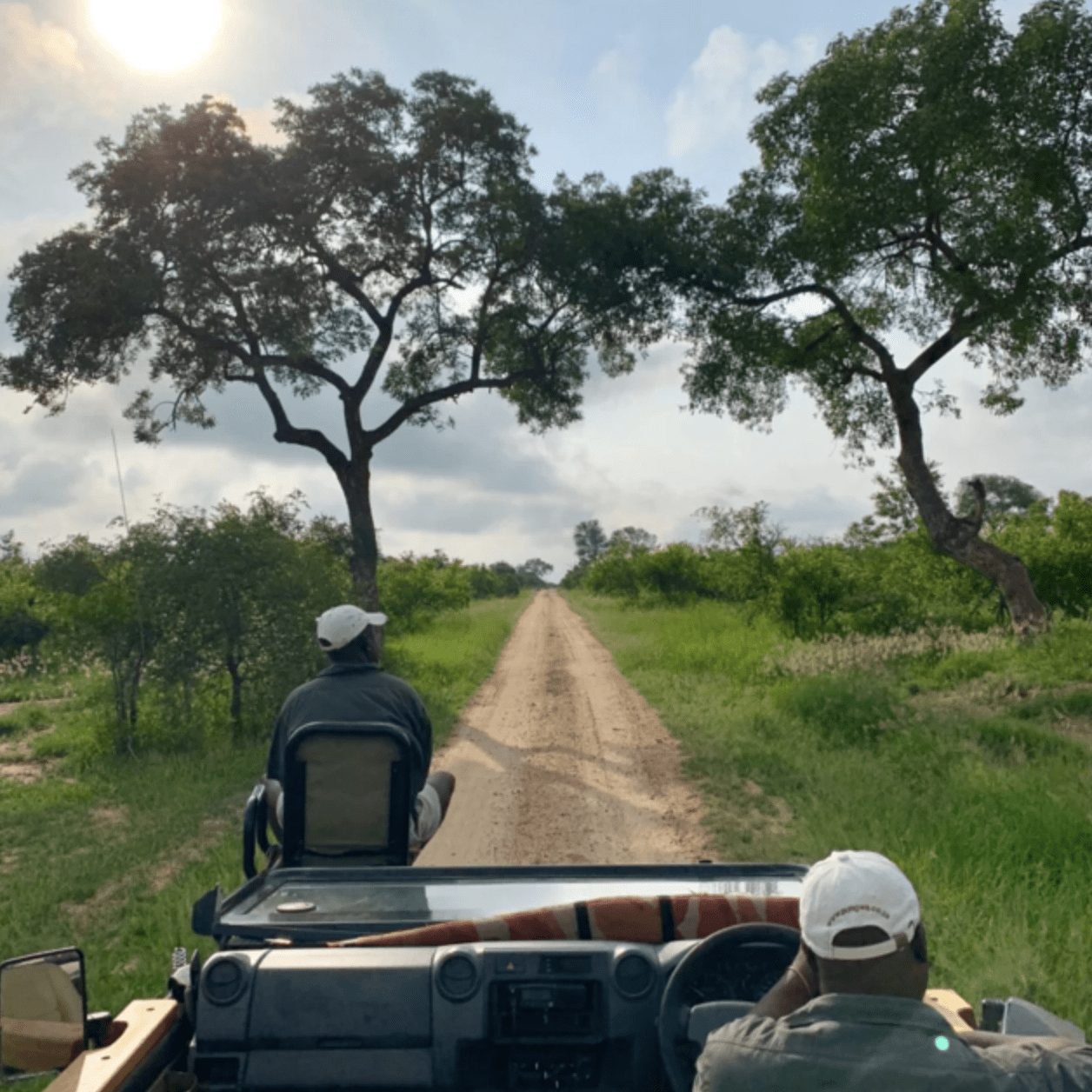 Distinctly Africa Safari Experience (4D/3N) - RY Marketplace