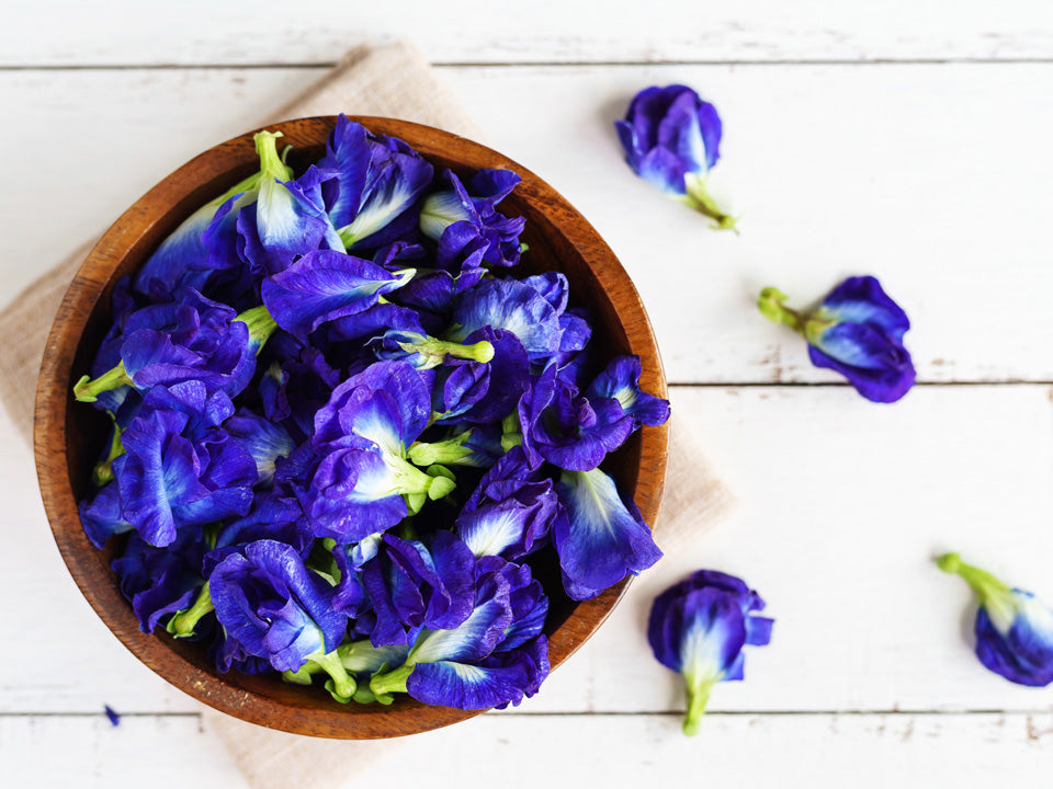 What Is Blue Butterfly Pea Flower Good For? – Sonya Dakar