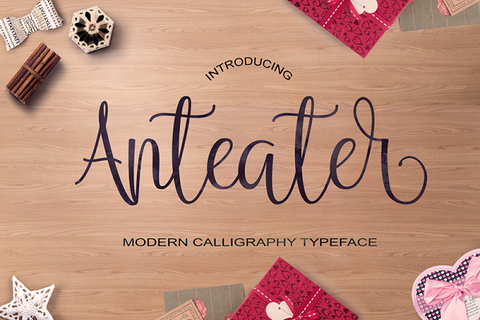 Anteater Modern Calligraphy Typeface Free Personal Use_Best Free Handwritten Fonts of 2018