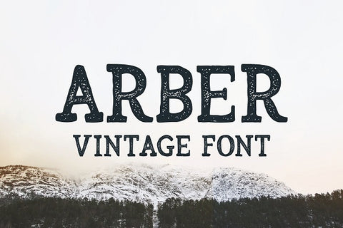 Arbor Vintage Font Textured Serif Font
