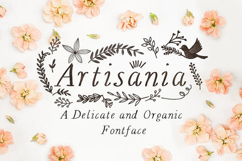 Artisania Delicate Handwritten Fontface by Mia Charro