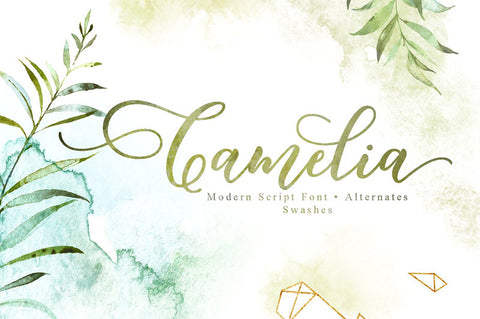 Camelia-Script-Font-with-Alternates-and-Swashes---Best-New-Romantic-Script-Fonts