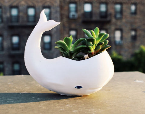 Whale Planter Vase for Plants and Succulents by Meow3DStore