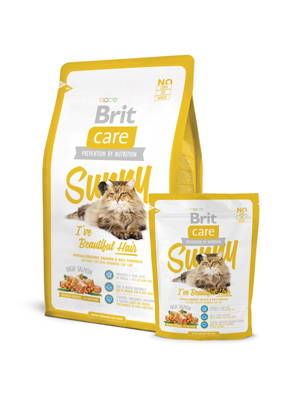 brit dog food