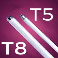 Le tube T5