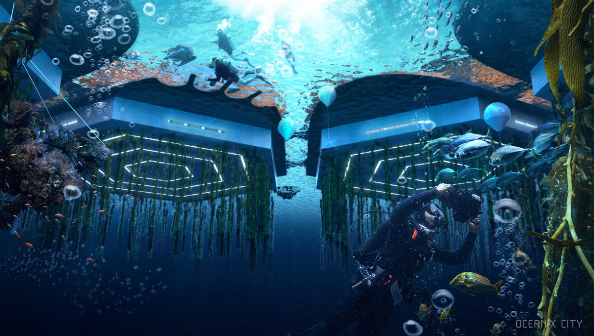  PLATFORMS FROM UNDERWATER: Below sea level, beneath the platforms, biorock floating reefs, seaweed, oysters, mussel, scallop and clam farming clean the water and accelerate ecosystem regeneration.