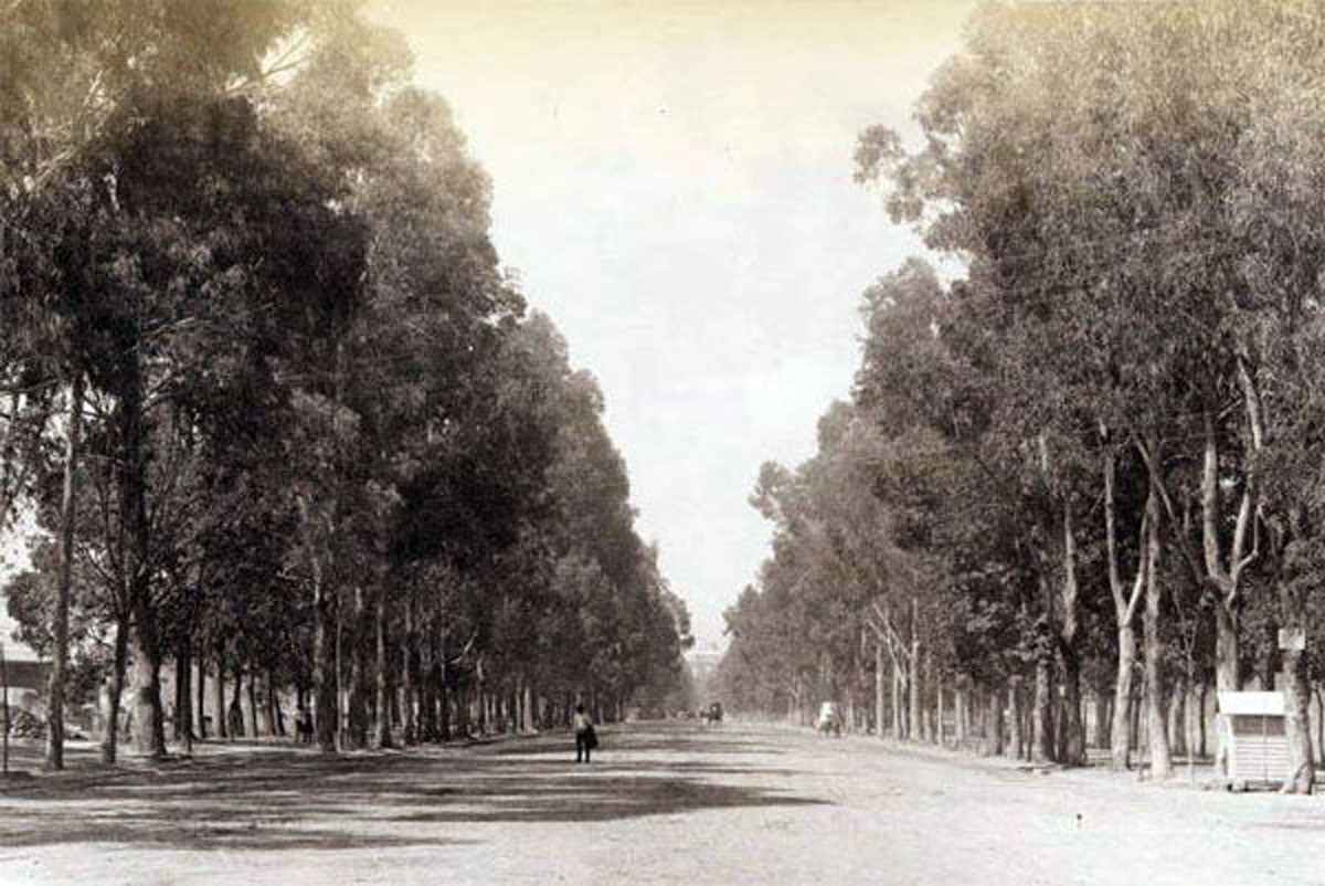 Vista de Paseo de la Reforma alrededor de 1897. Al fondo se observa difuso el Castillo de Chapultepec. Los automóviles aún no existían, aún no se estilaban las calles pavimentadas y los peatones cruzaban y caminaban indistintamente entre los carruajes. 