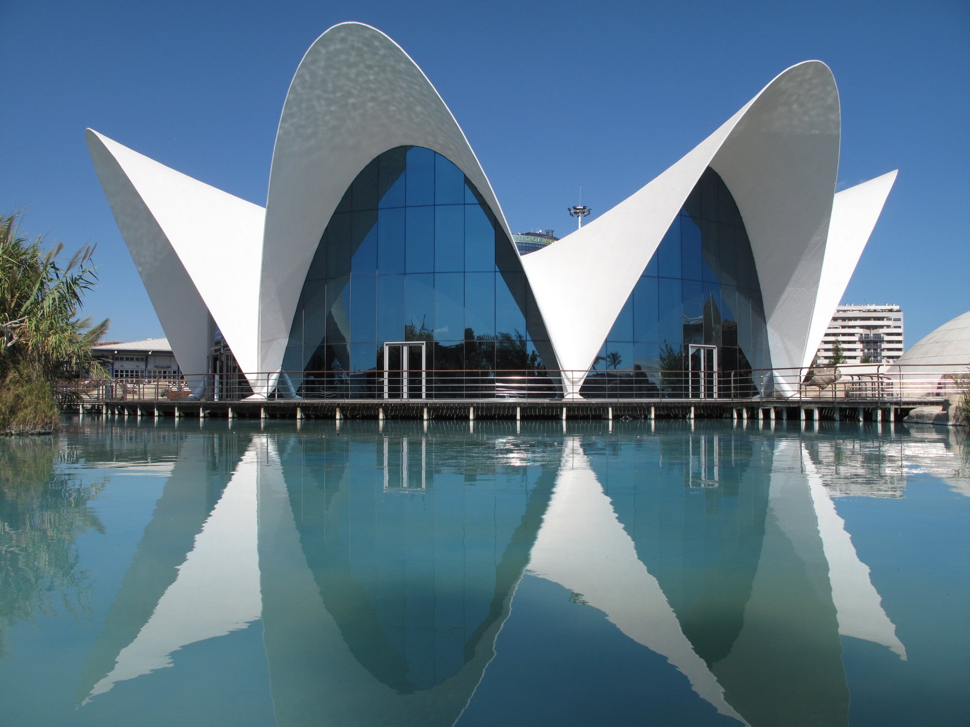 El restaurante Los Manantiales de Félix Candela es un gran ejemplo de las posibilidades constructivas del concreto armado