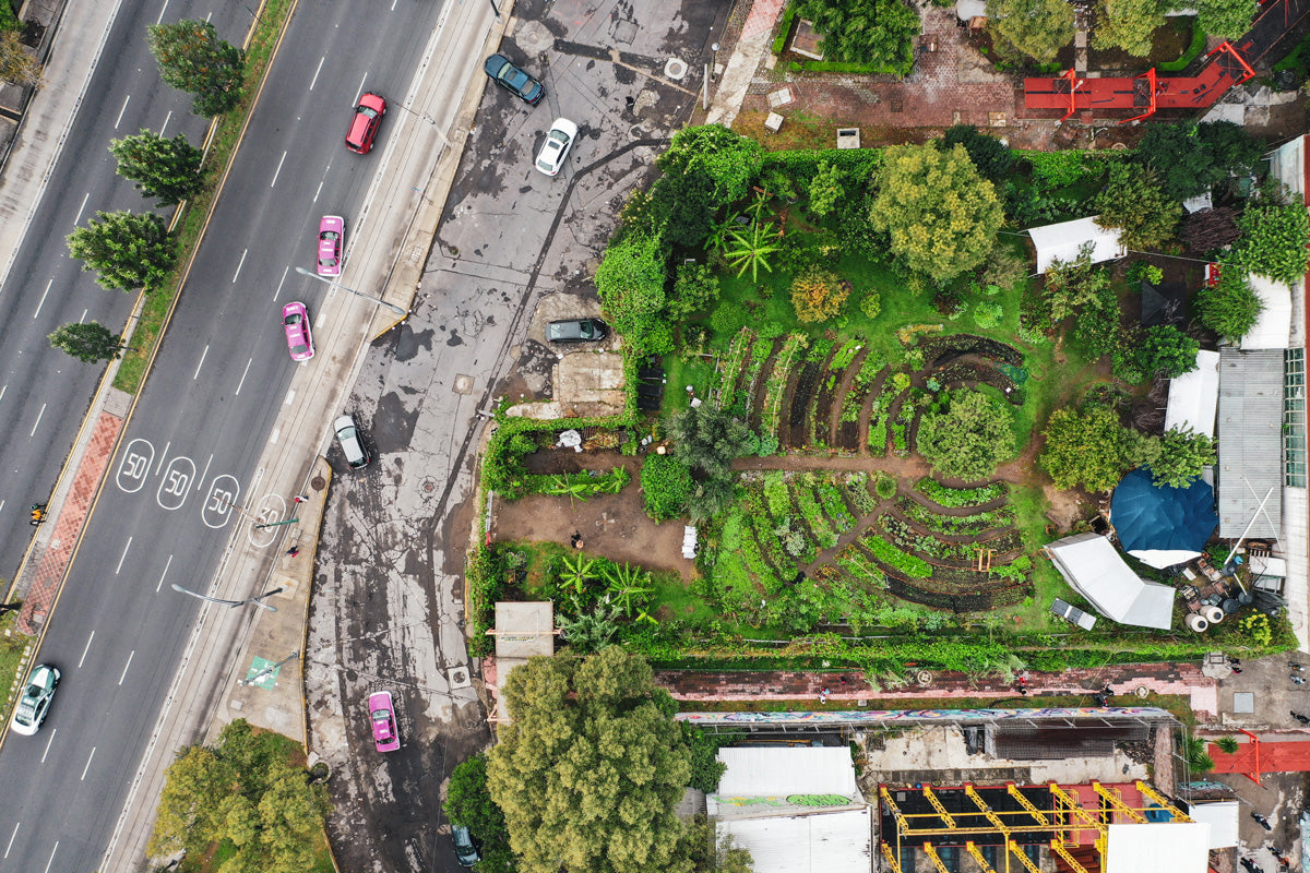 Huerto Tlatelolco. Foto @imjustafox y @manumanuti