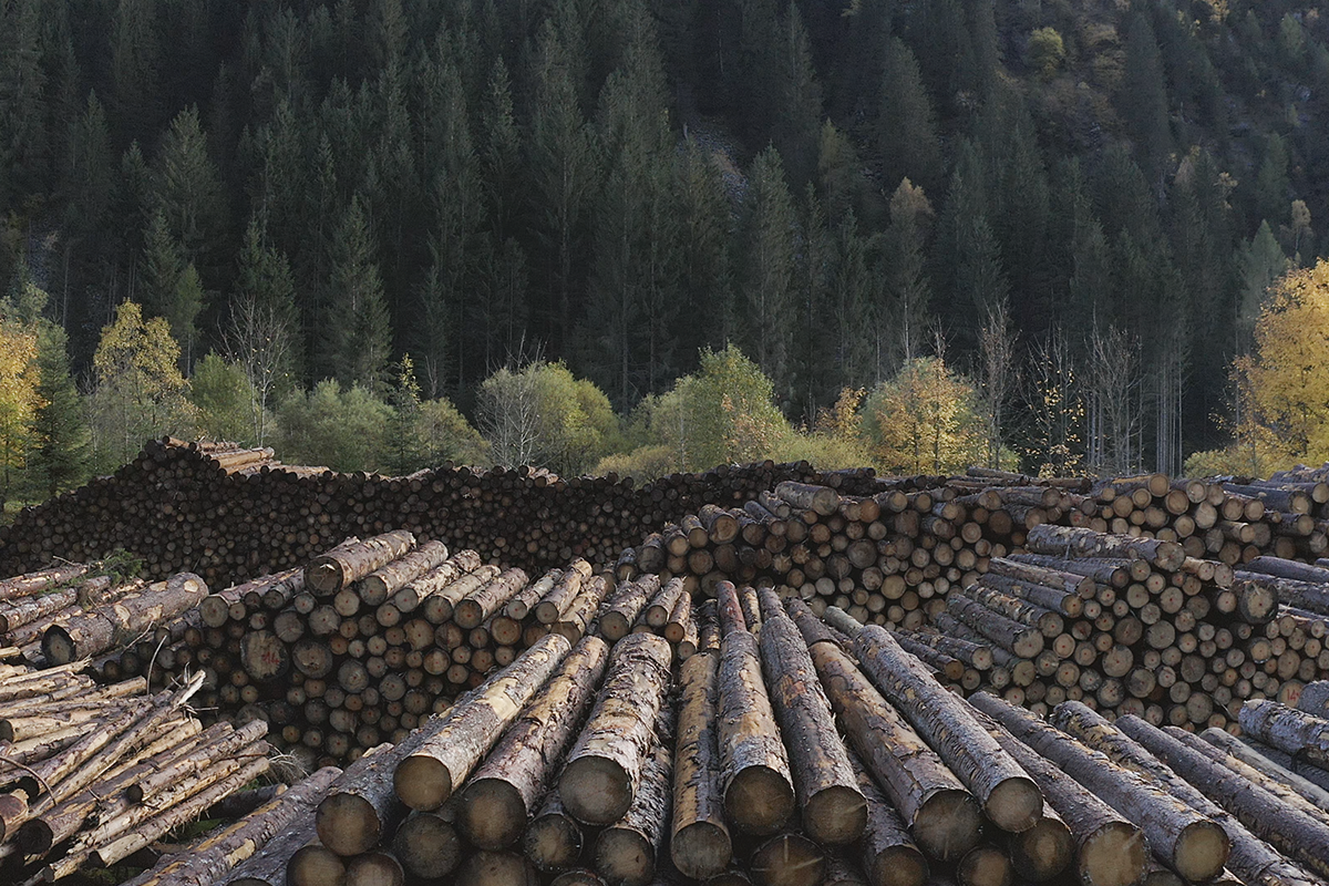 Val di Fiemme - Wood Processing - 1-5: Formafantasma, stills from video, 2019. Storage and lavoration of the trees felled by storm Vaia, Ziano, Italy